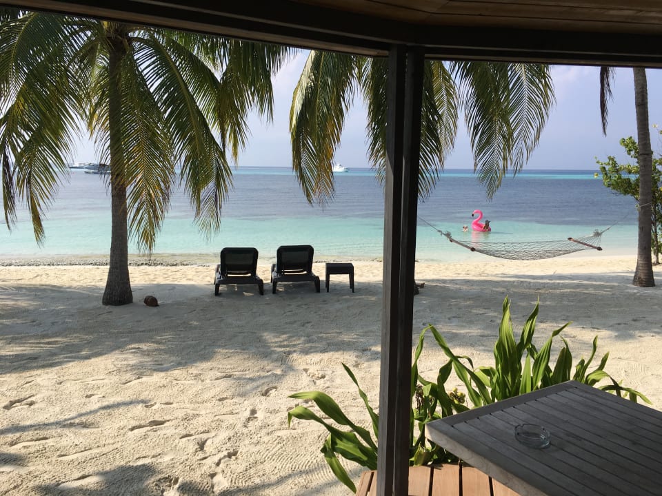 Zimmer Kuredu Island Resort & Spa