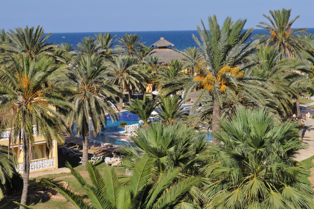 Widok Hotel Marhaba Club