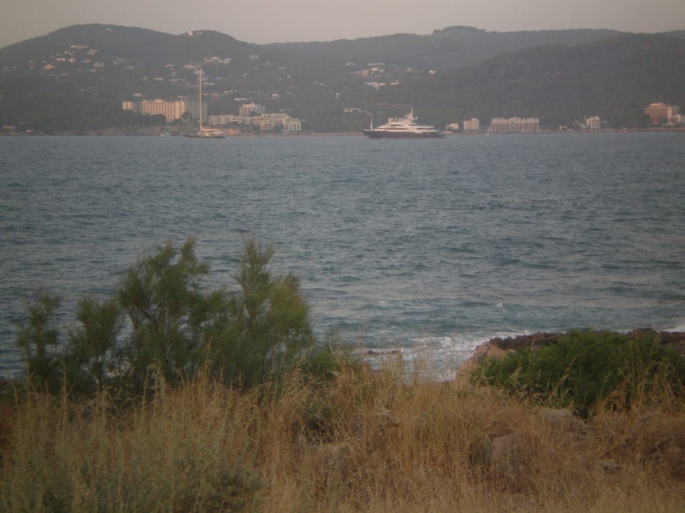 Ausblick vom Pool TUI BLUE Aura