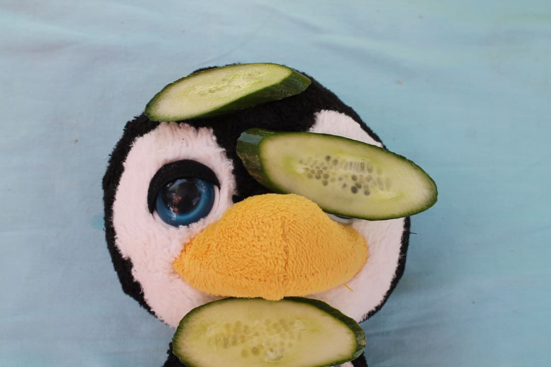 Strand Grand Waterworld Makadi & Family Star Makadi