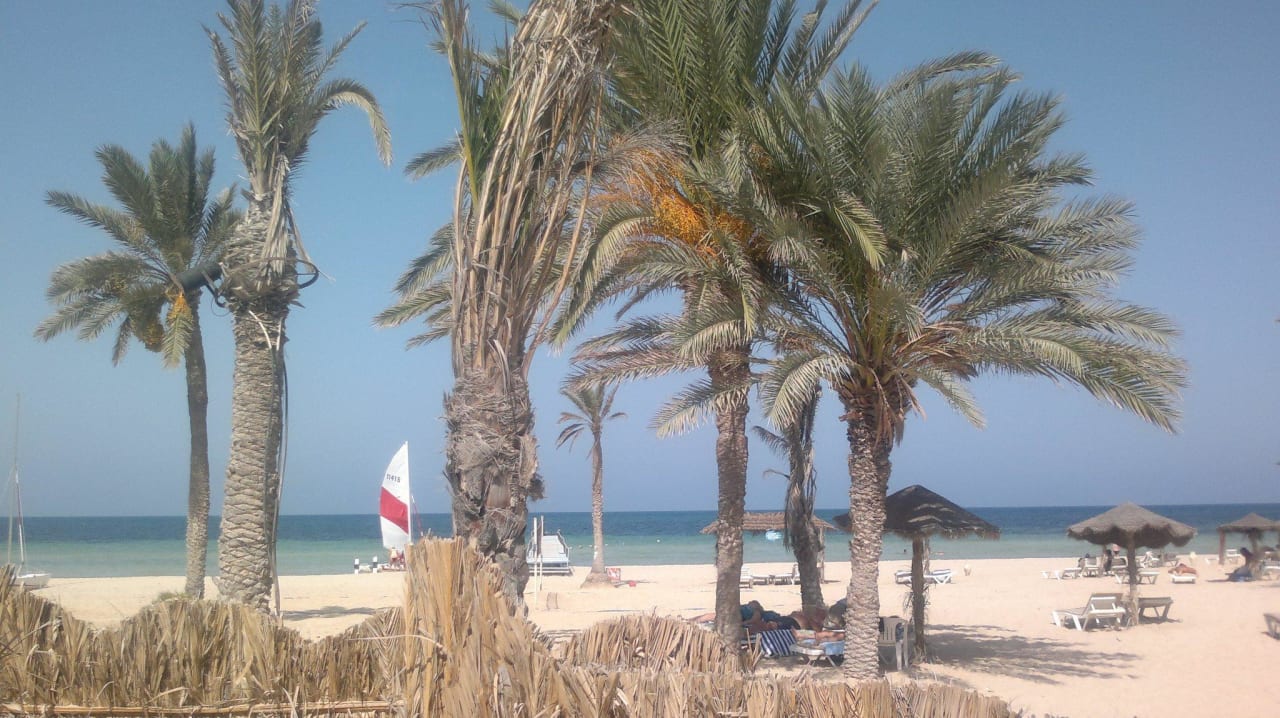 Ausblick von der Strandbar Hotel Sangho Club Zarzis