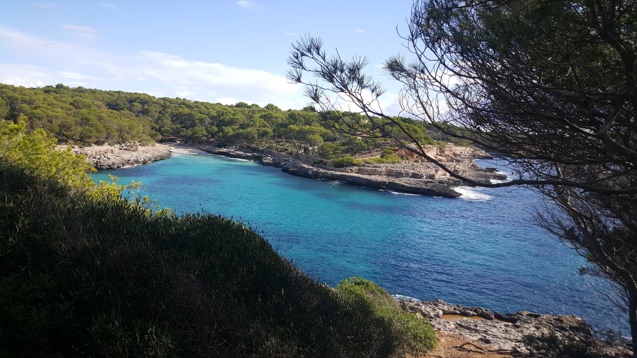 Ausblick Hotel Playa Mondrago