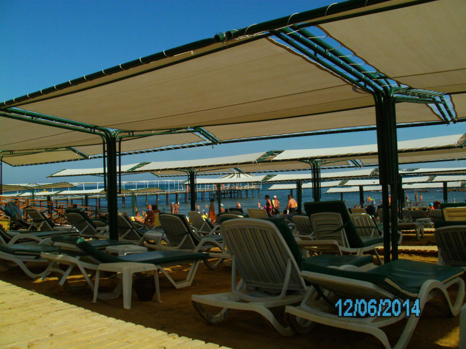 Immer genügend Liegen Hotel Turan Prince