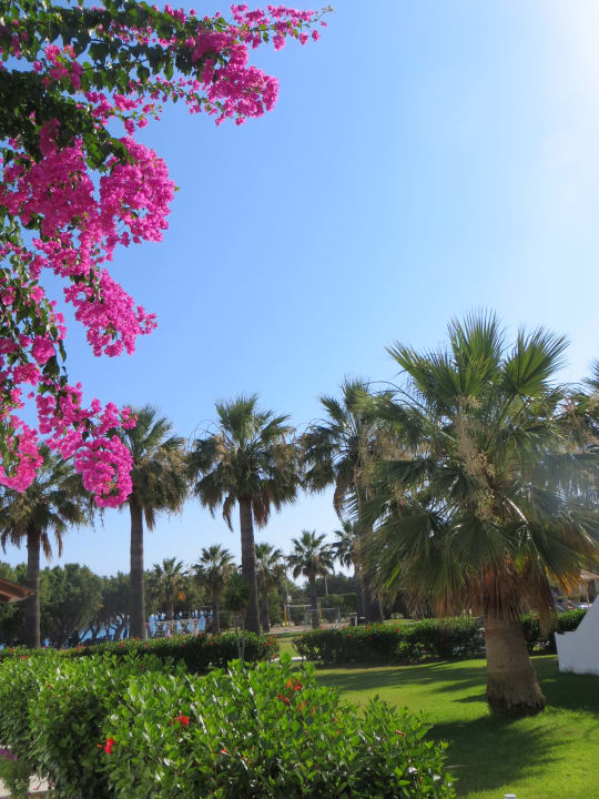 Gartenanlage TUI KIDS CLUB Alex Beach