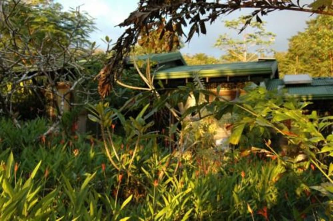 Bungalows fast versteckt im Garten Finca Bavaria