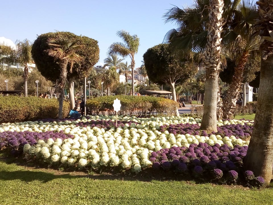 Gartenanlage Gardenia Hotel