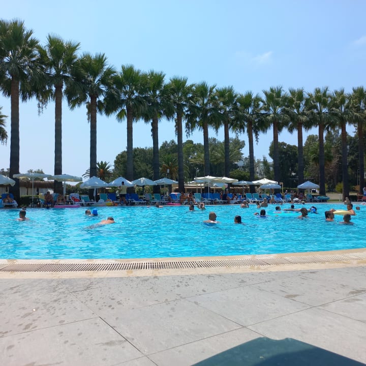 Pool Asteria Collection Side