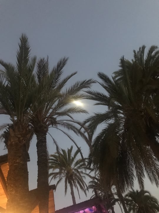 Ausblick HL Miraflor Suites Hotel