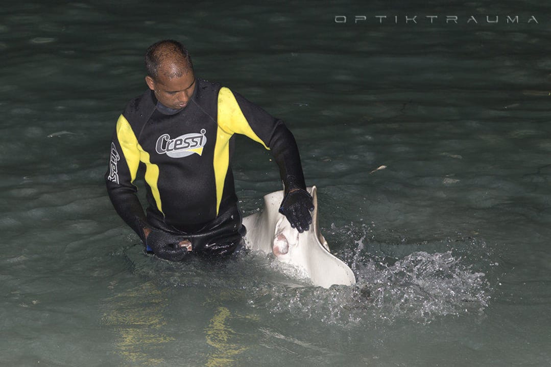 Hunger Kuramathi Maldives
