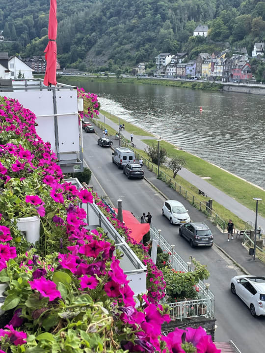 Ausblick Moselstern Hotel Brixiade & Triton