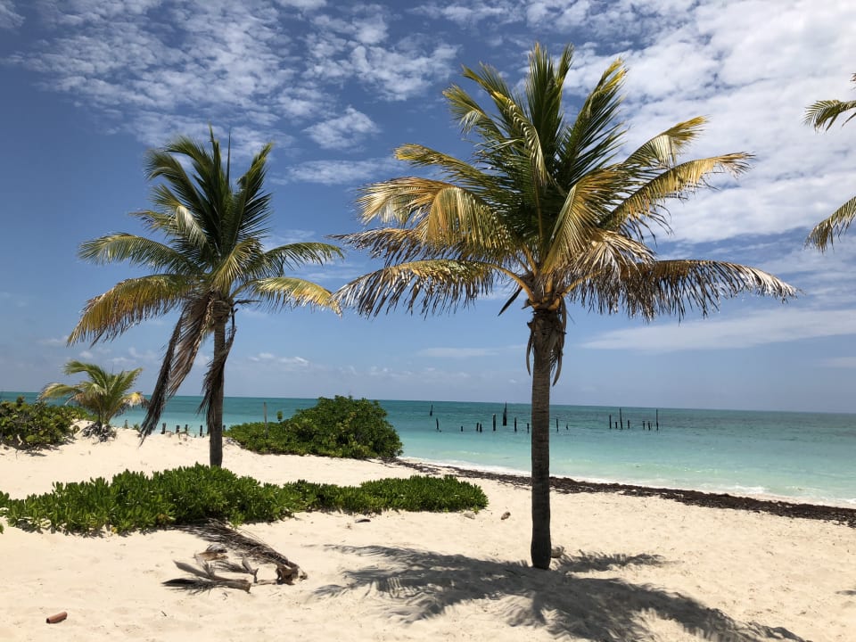 Strand Hotel Riu Dunamar