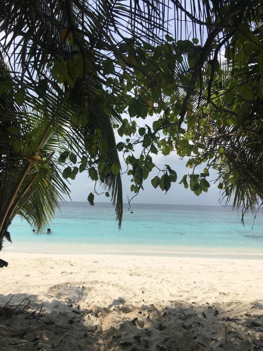 Strand Adaaran Select Meedhupparu Island Resort - Premium All Inclusive