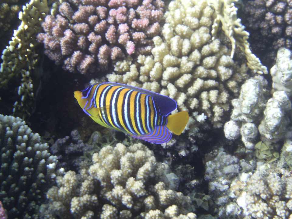 Sport & Freizeit Makadi Spa - Adults only