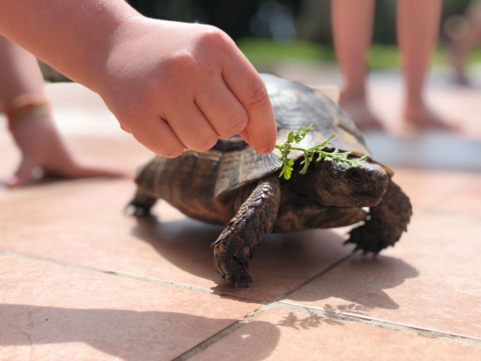 Sonstiges Megasaray Club Belek