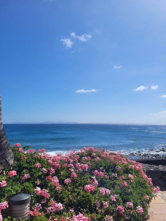 Ausblick Hipotels Natura Palace