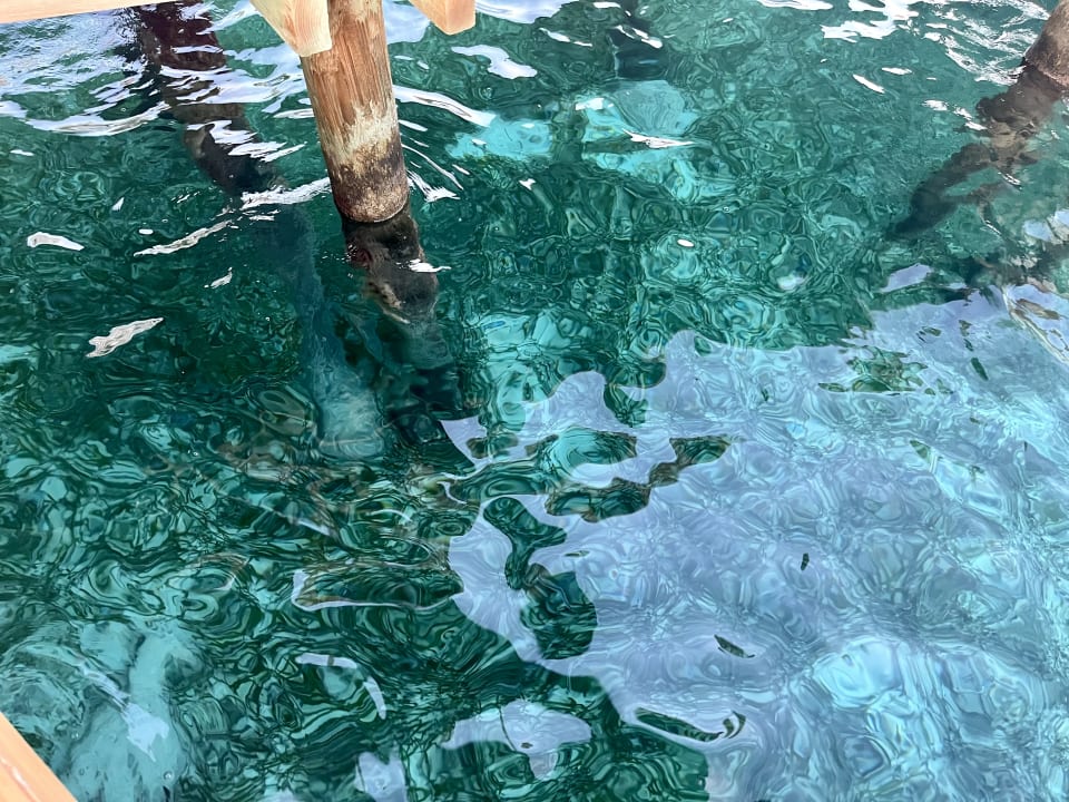 Strand Impression Isla Mujeres by Secrets - Adults Only