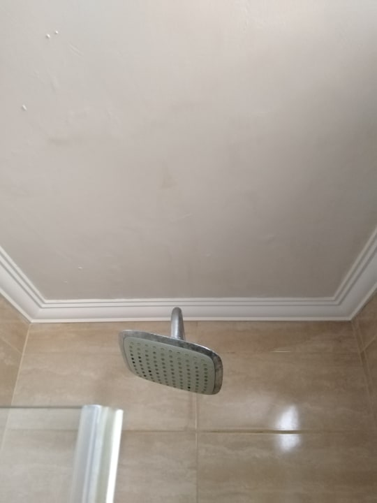 Zimmer Dizalya Palm Garden