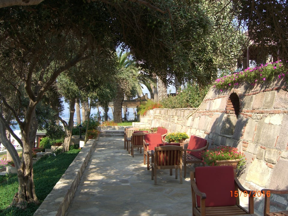 Gartenanlage Arum Barut Collection