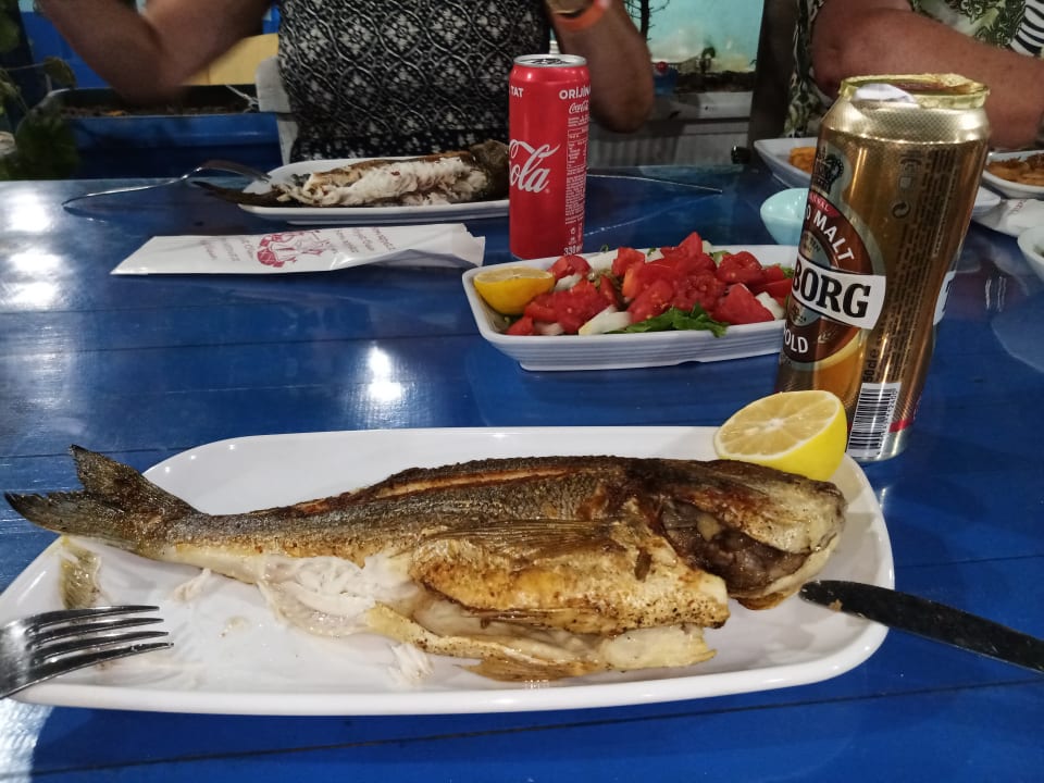 Gastro Dogan Paradise Beach