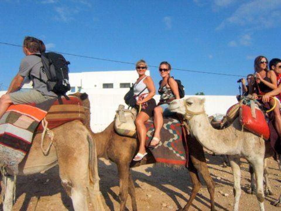 Karawana z "alibabą" z neptuniabeach Hotel Neptunia Skanes