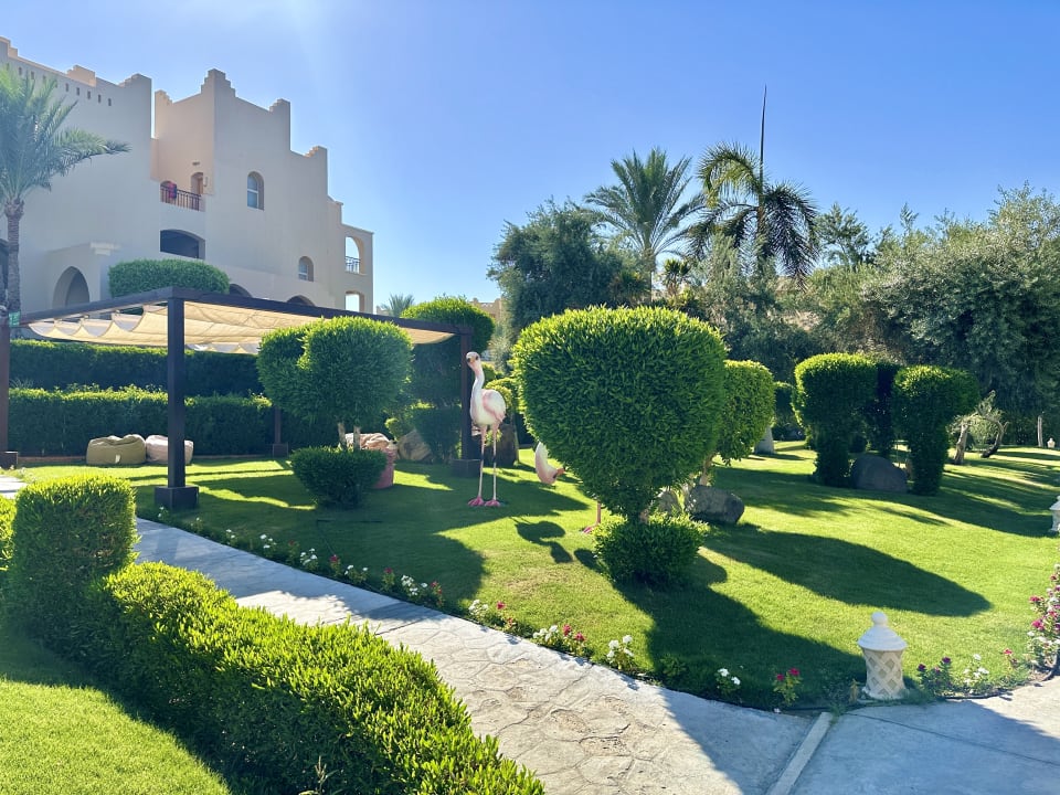 Gartenanlage Hotel JAZ Makadi Star & Spa