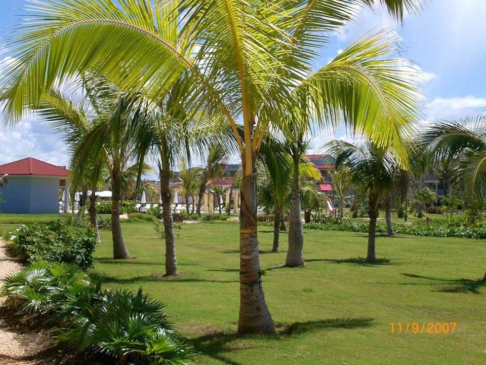 Der Garten der Anlage Resonance Musique Varadero