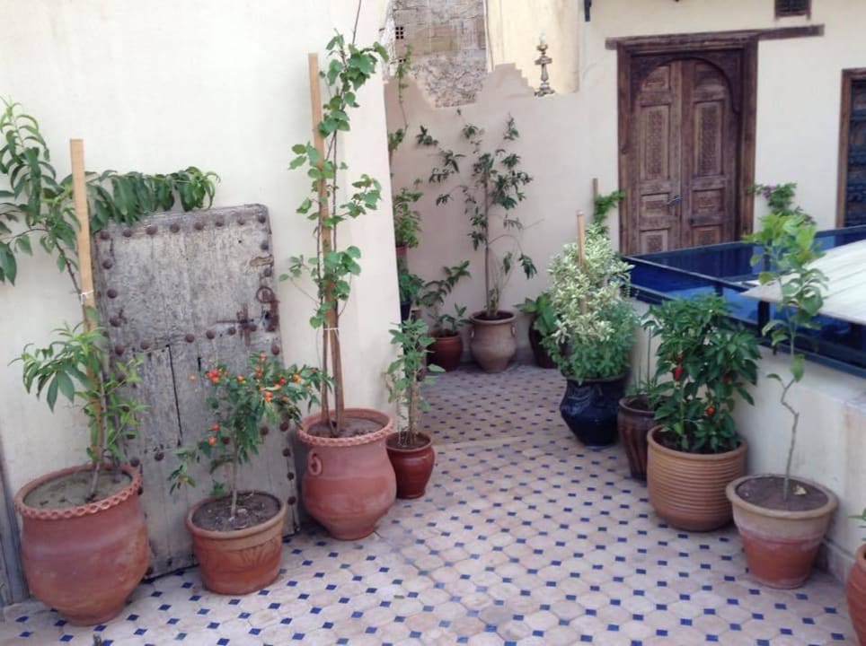 Terrasse Riad La Bague De Kenza