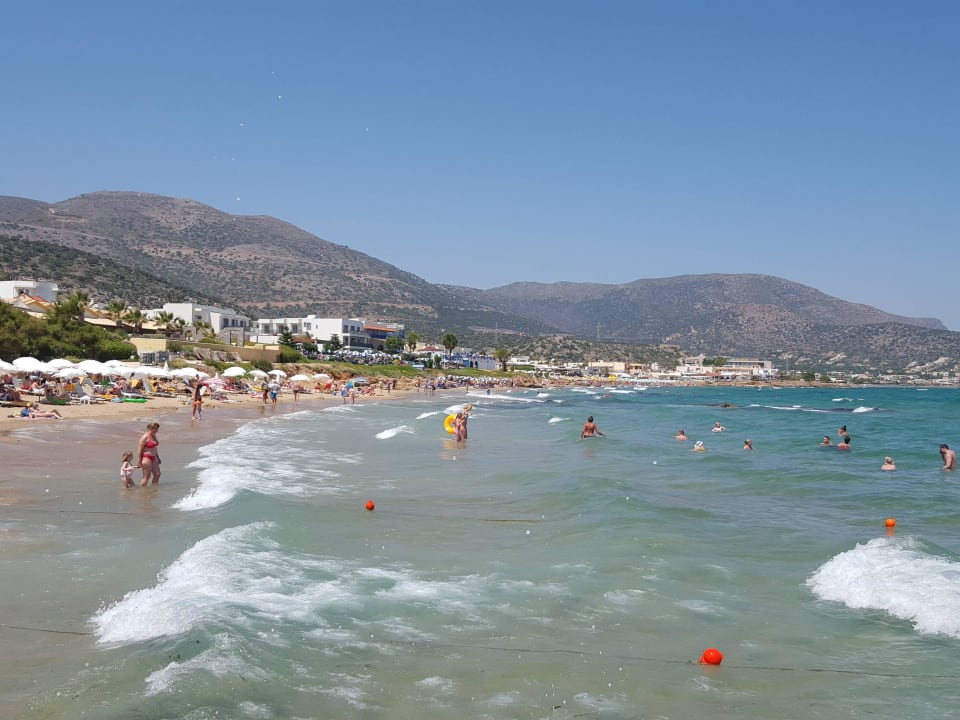 Strandabschnitt Alexander Beach Hotel & Village Resort