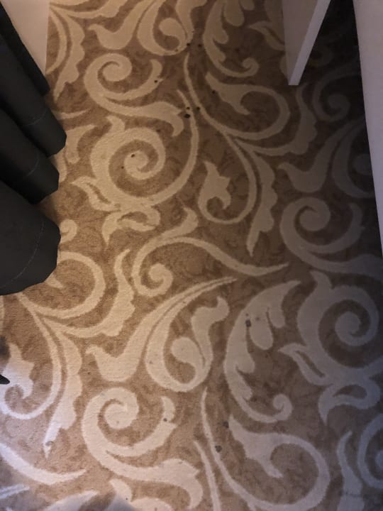 Zimmer Royal Arena Resort & Spa