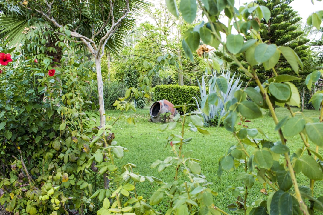 Chillen im Park Saphir Resort & Spa