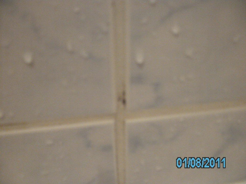 Schimmel in der Dusche Hotel Kiss Family