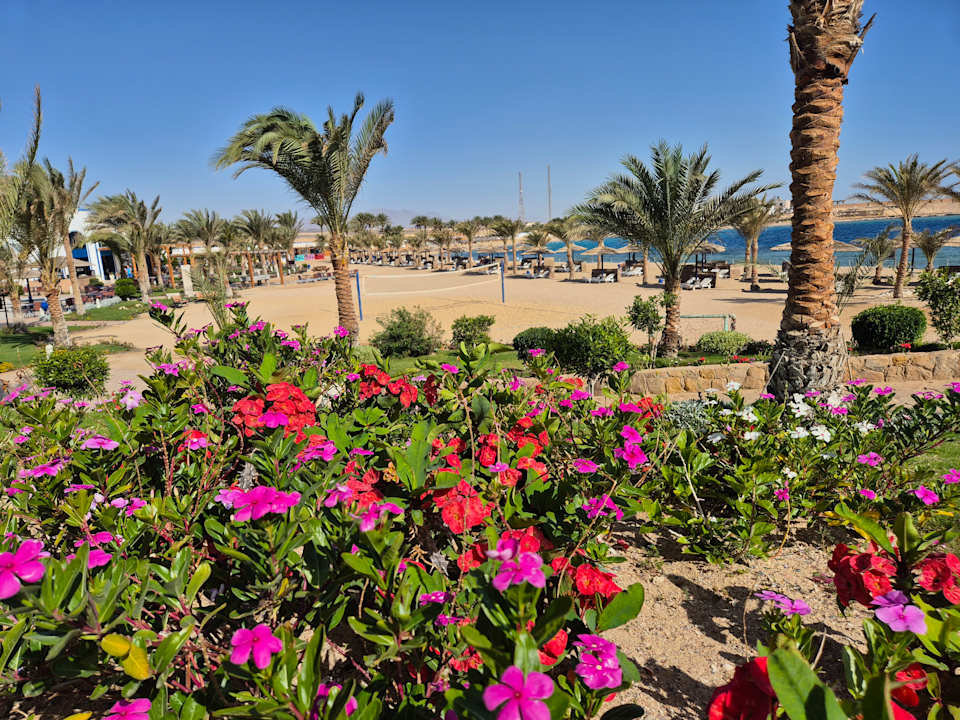Ausblick Coral Sun Beach