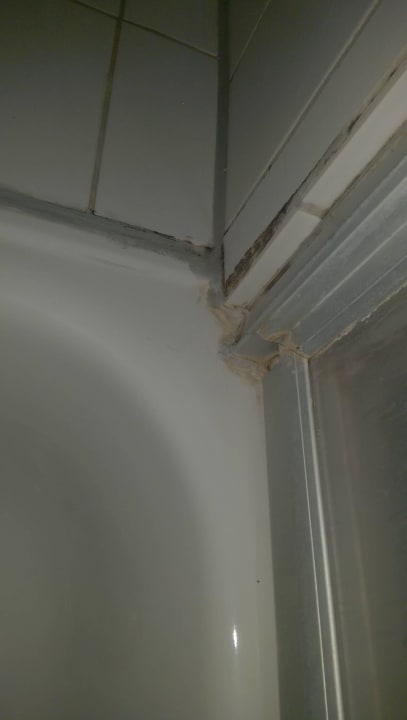 Schimmel und Kalk Hotel Silberne Rose