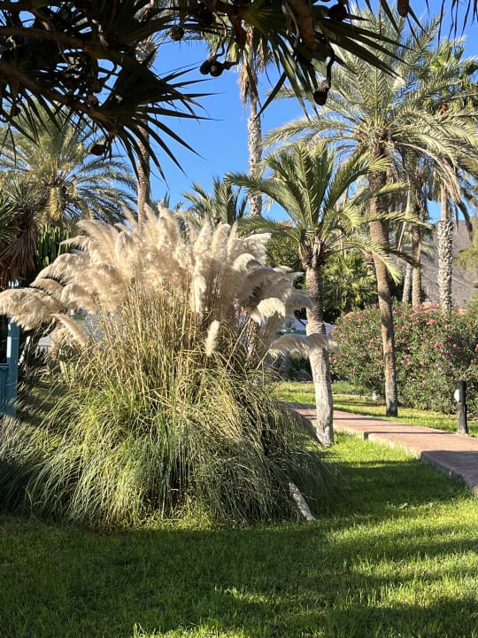 Gartenanlage Aldiana Club Fuerteventura