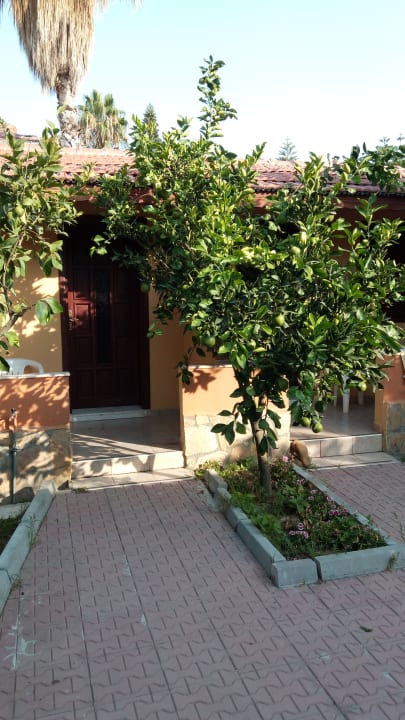 Gartenanlage Özlem Garden Hotel