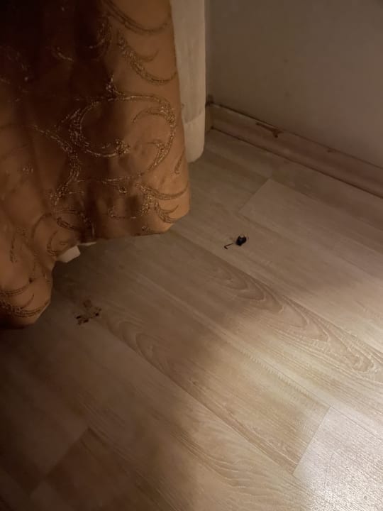 Zimmer Mysea Hotel Alara