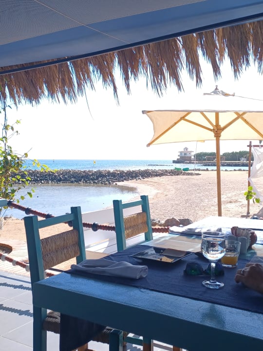 Ausblick Desert Rose