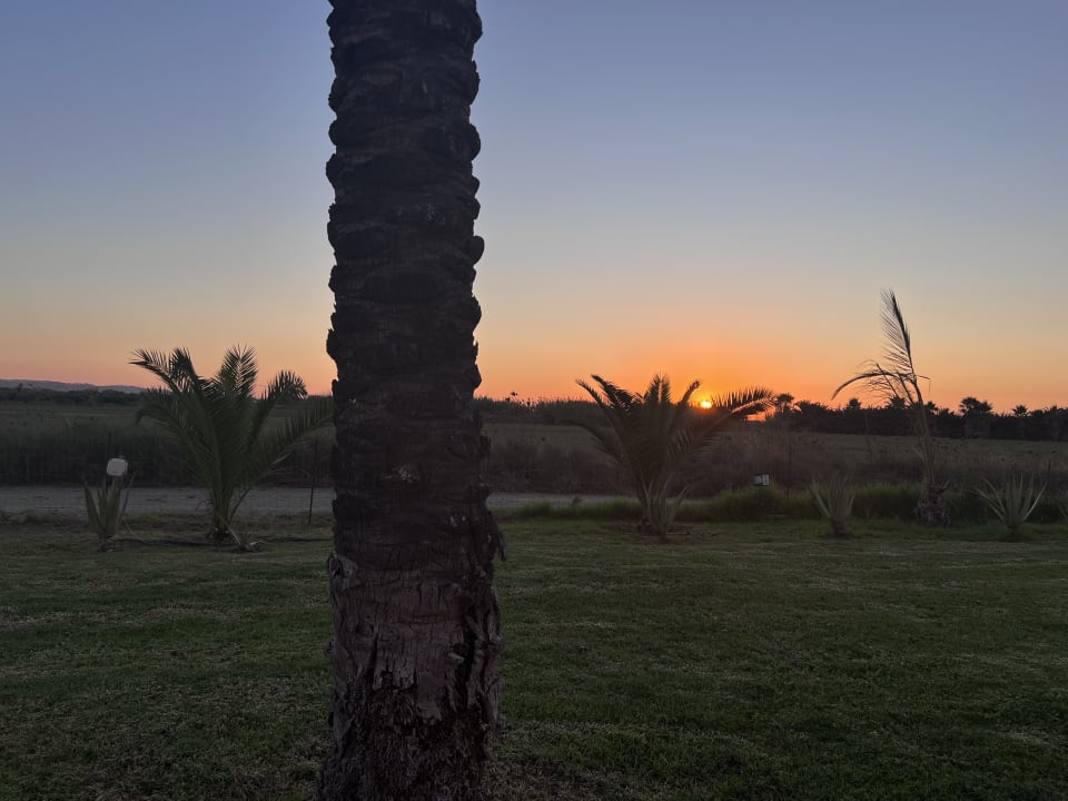 Gartenanlage Grecotel Casa Paradiso