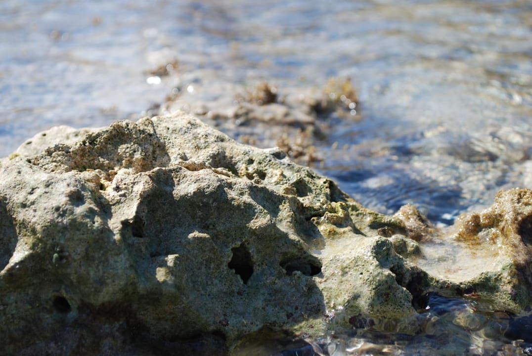 Odplyw Hotel Nubian Village