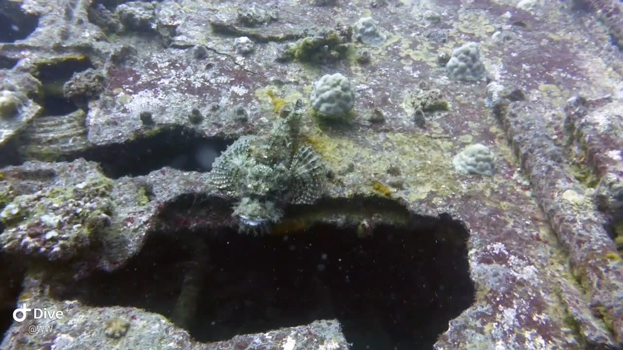 Strand Lagoon Attitude - Adults only