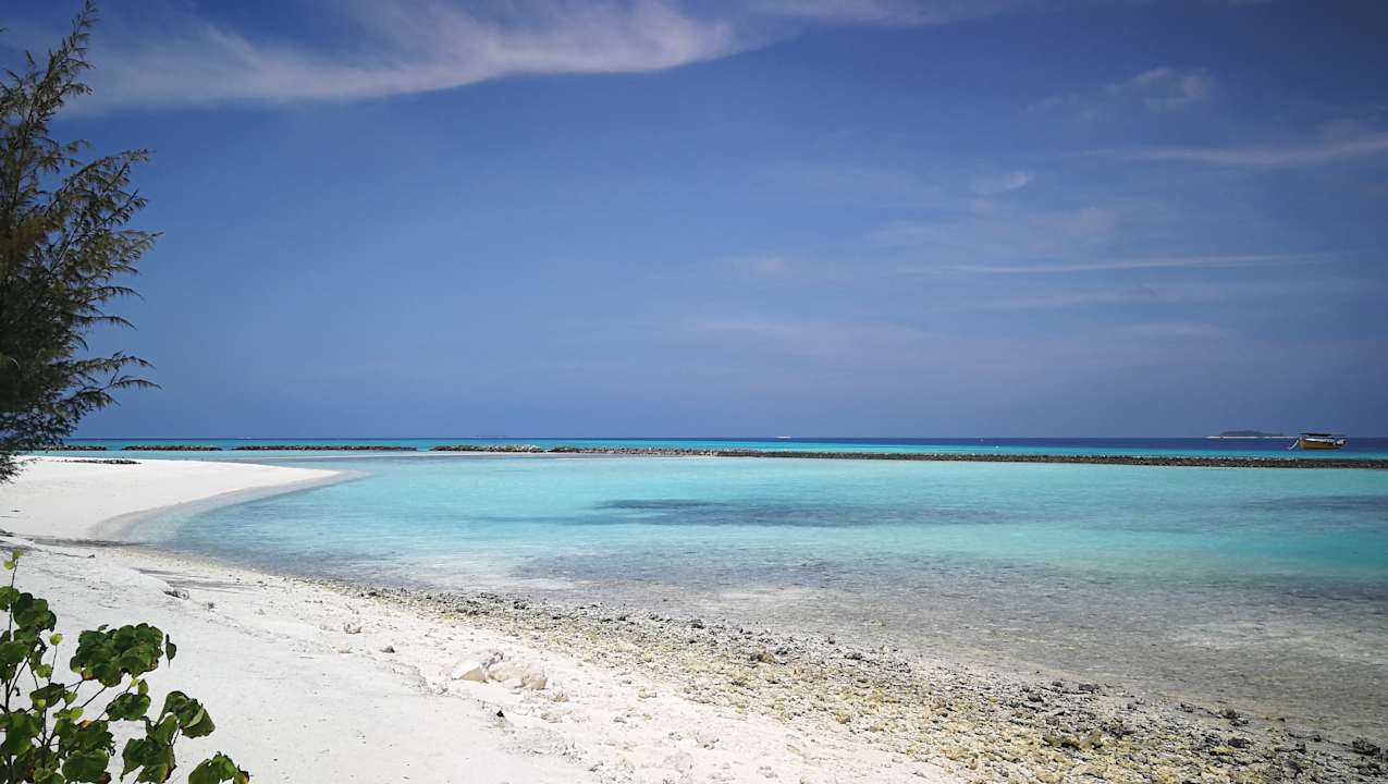 Strand Summer Island Maldives