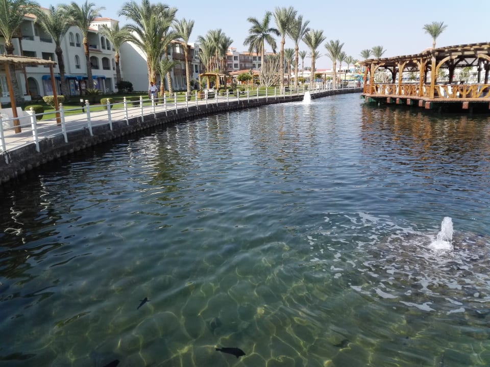 Gastro Pickalbatros Dana Beach Resort - Hurghada