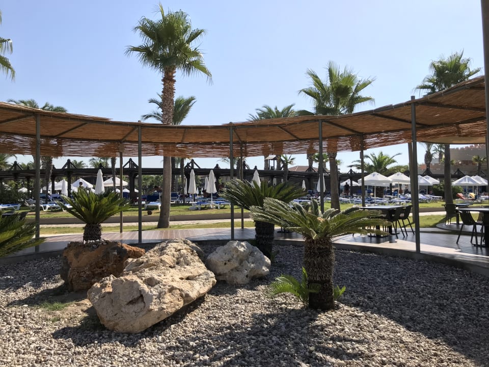 Sonstiges TUI BLUE Palm Garden
