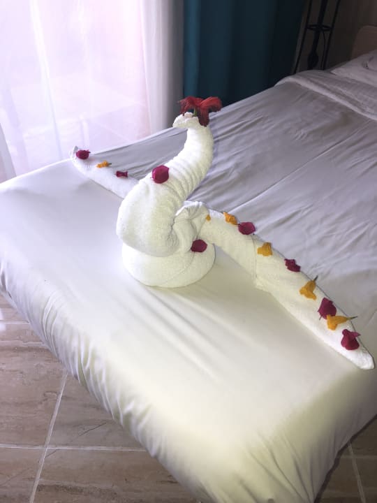 Zimmer Malikia Resort Abu Dabbab