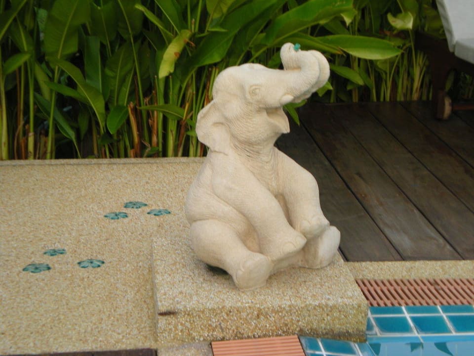 Elefantino che spruzza acqua in piscina Hotel Le Charme Sukhothai Resort