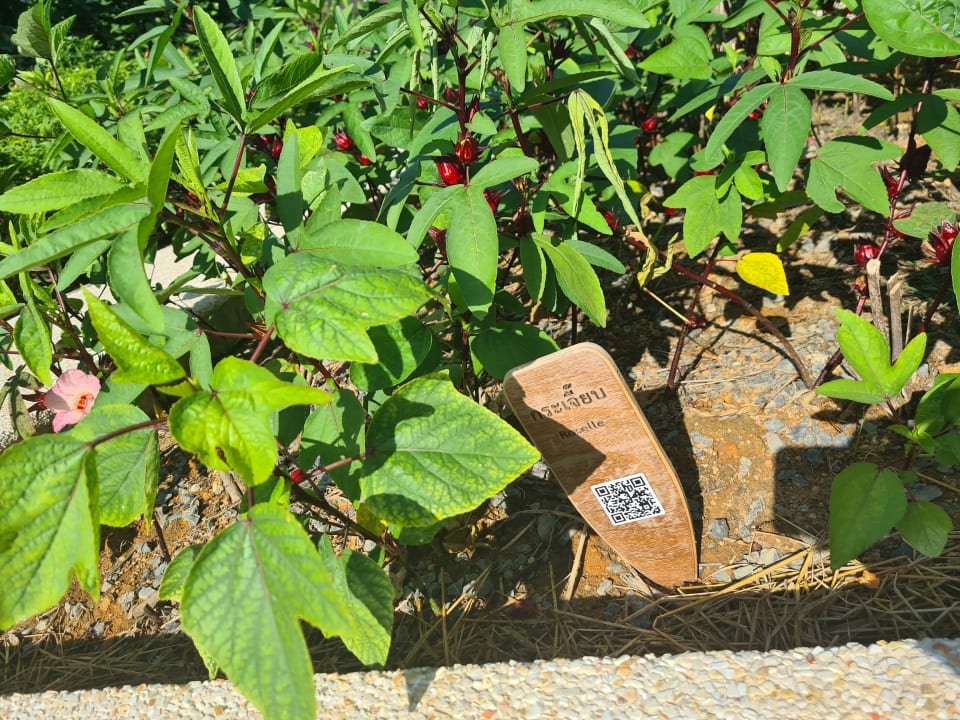 Gartenanlage Outrigger Khao Lak Beach Resort