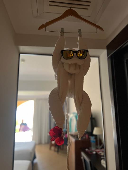 Zimmer Stella Garden Resort & Spa, Makadi Bay