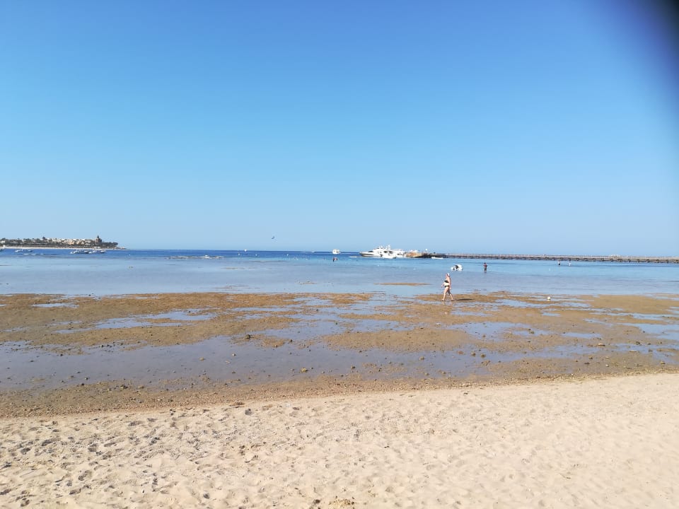 Strand Cleopatra Luxury Resort Makadi Bay