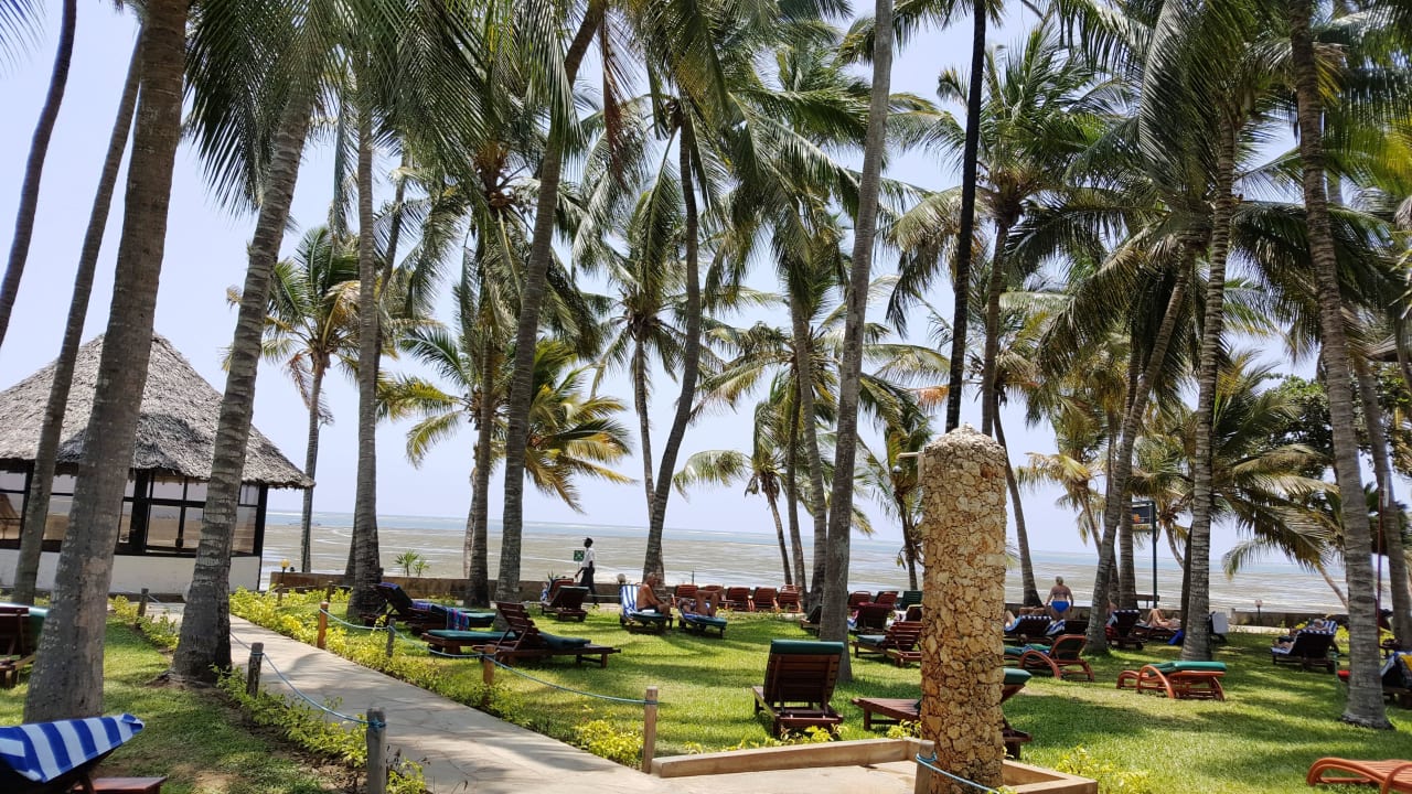 Blick von der Liege Richtung Strand Hotel Traveller's Club