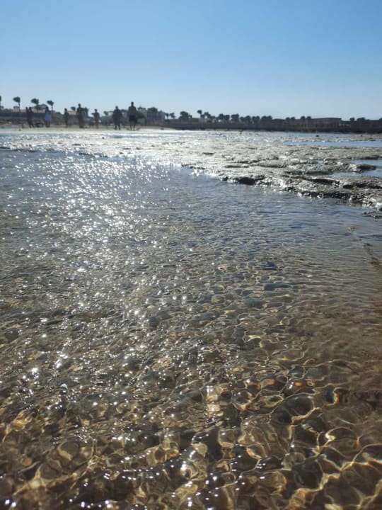 Strand Pickalbatros Dana Beach Resort - Hurghada